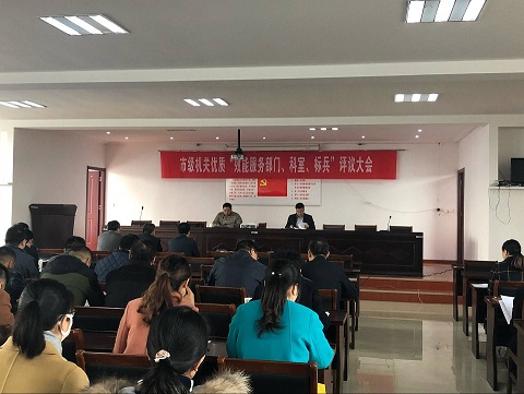 珥陵镇各级人大代表参加了2017年丹阳市市级语文优质效评议建设1997中年高机关课本1994图片